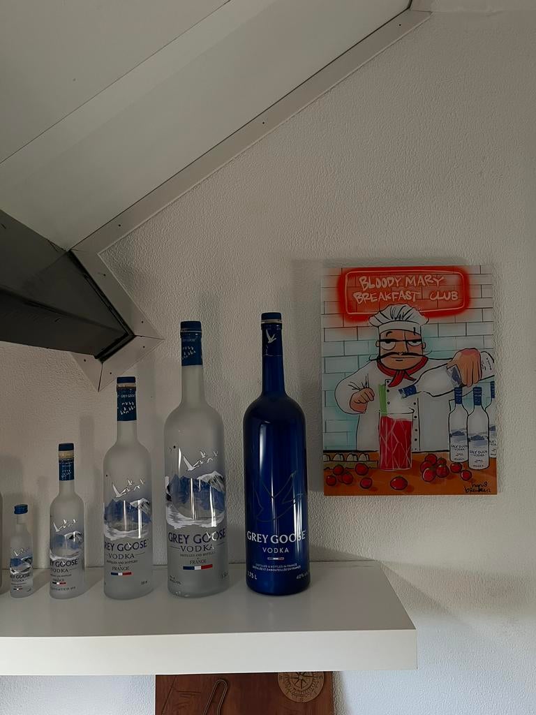 Grey Goose collectie met kunstwerk, Verzamelen, Ophalen of Verzenden, Zo goed als nieuw, Overige typen