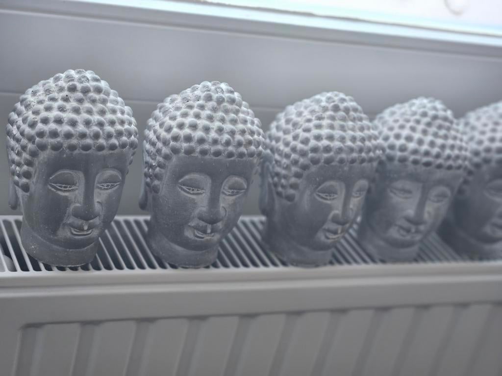 11 stenen Boeddha hoofden, Ophalen