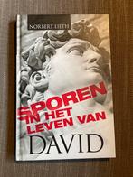 SPOREN IN HET LEVEN VAN DAVID - Norbert Lieth, Ophalen of Verzenden, Zo goed als nieuw, Norbert Lieth, Christendom | Protestants