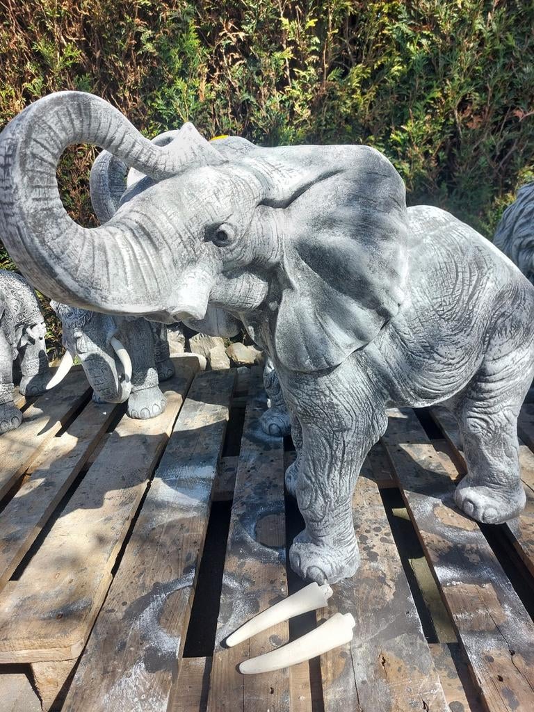 Crealisa, DE Beeldenspecialist van het Zuiden, Ophalen of Verzenden, Nieuw, Beton, Dierenbeeld