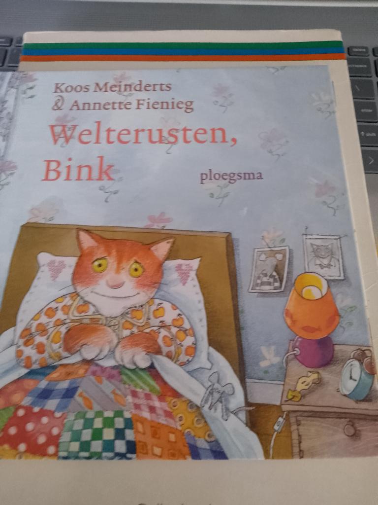 2 x koos meindert &  a welterusten bink & rat weinig woorden, Boeken, Ophalen of Verzenden, Zo goed als nieuw, Fictie algemeen