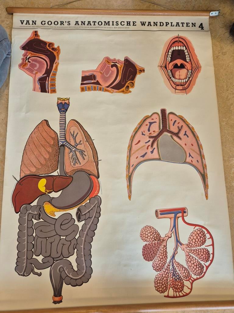 Verschillende oude schoolkaarten, Antiek en Kunst, Ophalen, Aardrijkskunde