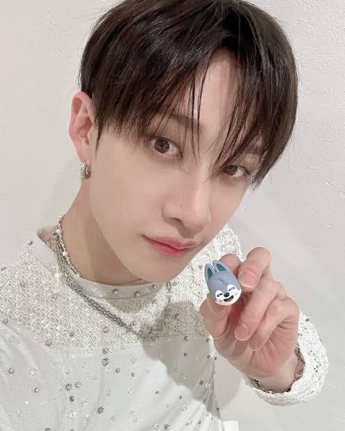 Bang Chan Stray Kids Wolfchan DominATE Japan SKZOO ring, Verzamelen, Muziek, Artiesten en Beroemdheden, Zo goed als nieuw, Foto of Kaart