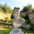 Prachtige Oude Apollo Buste ,, Tuin en Terras, Tuinbeelden, Ophalen, Gebruikt