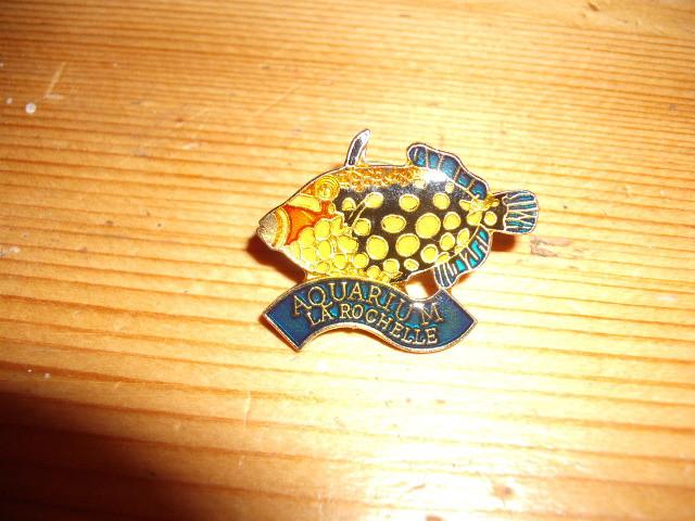 Vis Vissen pin aquarium La Rochelle demons en merveilles, Ophalen of Verzenden, Zo goed als nieuw