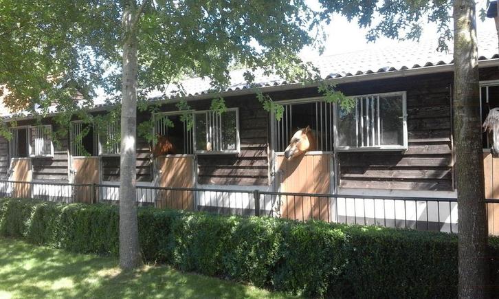 Plek vrij op kleine pensionstal, Dieren en Toebehoren, Stalling en Weidegang, Stalling