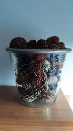 Te koop grote glazen pot - vaas -stolp, Huis en Inrichting, Woonaccessoires | Vazen, Ophalen, Overige kleuren, Minder dan 50 cm