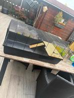 Groot hamster/knaagdier hok incl toebehoren, Ophalen, Hok, Hamster, Minder dan 60 cm