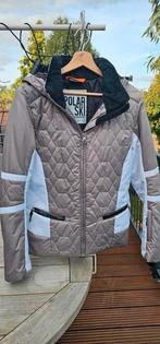 Icepeak dames skijas mt 42, Overige merken, 100 tot 140 cm, Ophalen of Verzenden, Zo goed als nieuw