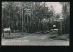 Spier - Camping  De Moraine [003-4131, Verzenden, 1940 tot 1960, Gelopen, Drenthe