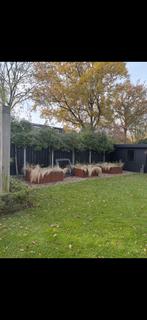 3x grote corten stalen plantenbakken, Ophalen, 100 cm of meer, Vierkant, Zo goed als nieuw