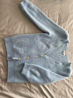 Fabienne Chapot Vest XS (valt als S), Kleding | Dames, Truien en Vesten, Blauw, Ophalen of Verzenden, Zo goed als nieuw, Fabienne Chapot