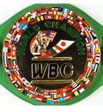 WBC belt gesigneerd door Ryan Garcia, Ophalen of Verzenden, Zo goed als nieuw, Buitenlandse clubs, Shirt
