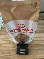 Royal Canin Brokken voor een Britse korthaar, Dieren en Toebehoren, Dierenvoeding, Ophalen of Verzenden, Kat
