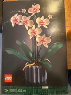 LEGO Botanical Collection Orchidee, Kinderen en Baby's, Speelgoed | Duplo en Lego, Ophalen of Verzenden, Nieuw, Complete set, Lego