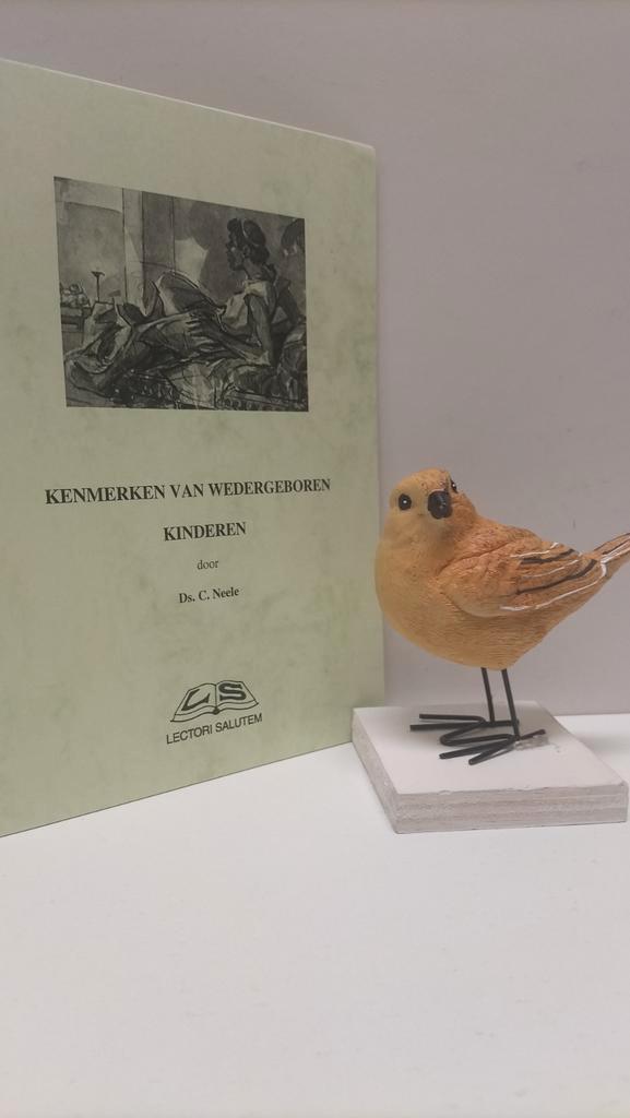 Neele, Ds. C.; Kenmerken van wedergeboren kinderen, Boeken, Godsdienst en Theologie, Gelezen, Christendom | Protestants, Ophalen of Verzenden