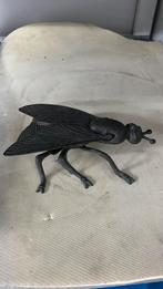 Insekt vlieg, Antiek en Kunst, Ophalen