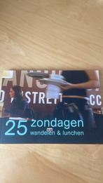 E. Brik - 25 zondagen, Overige merken, Fiets- of Wandelgids, E. Brik, Ophalen of Verzenden