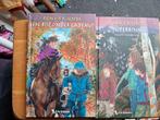 2 Pony Friends Boeken, Ophalen of Verzenden, Zo goed als nieuw, Henriette Kan-Hemmink