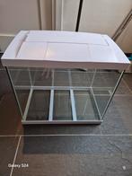 Compleet superfish start 50 Aquarium, Dieren en Toebehoren, Ophalen, Gebruikt, Leeg aquarium