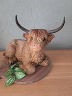 Mooi nieuw kwaliteits beeld van een Schotse hooglander te ko, Verzamelen, Ophalen of Verzenden, Nieuw, Dier