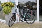 Stella Livorno Shimano Steps l 418wh l 49 cm