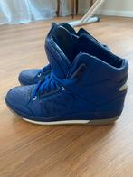 Sneakers Dsquared 2 high top, blauw leer, Dsquared2, maat 36, Kleding | Dames, Schoenen, Blauw, Ophalen of Verzenden, Zo goed als nieuw