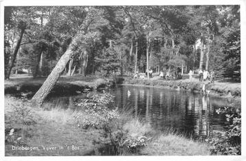 (388-409-031) Driebergen-Rijsenburg Vijver in t Bos beschikbaar voor biedingen