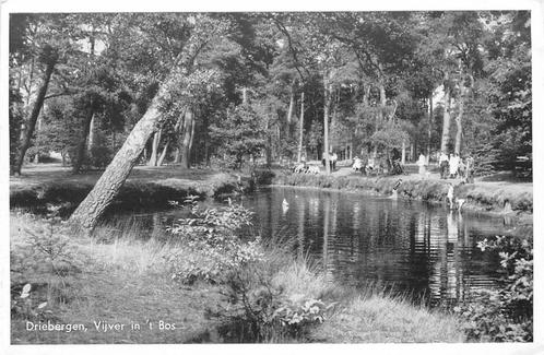 (388-409-031) Driebergen-Rijsenburg Vijver in t Bos, Verzamelen, Ansichtkaarten | Nederland, Utrecht, Verzenden