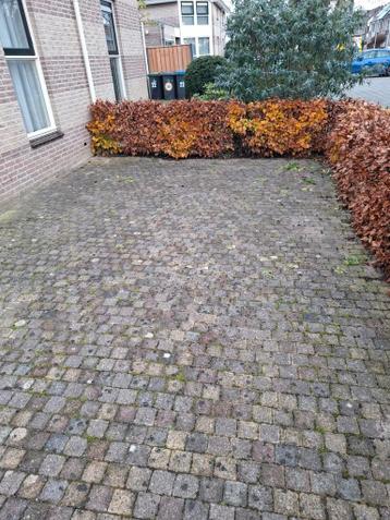 Gratis af te halen: Tegels/klinkers/bakstenen