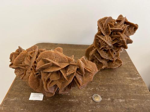 woestijnrozen (Algerije), Verzamelen, Mineralen en Fossielen, Mineraal, Ophalen