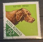 Roemenie Hond Michel 2474 Gestempeld, Ophalen of Verzenden, Overige landen, Gestempeld