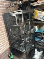 Groote vogelkooi, Dieren en Toebehoren, Vogels | Hokken en Kooien, Ophalen, Zo goed als nieuw, Metaal, Vogelkooi