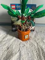 LEGO Harry Potter Mandrake Set, Verzamelen, Harry Potter, Ophalen of Verzenden, Zo goed als nieuw, Overige typen