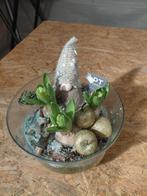 Gnoom kerst met hyacinten, Ophalen, Nieuw