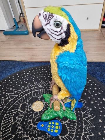 Papagaai Coco van furreal friends op stok (compleet)