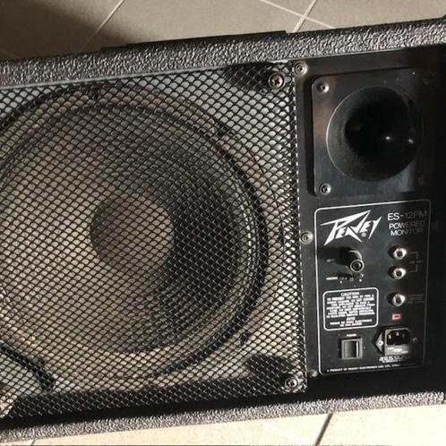 monitor speaker, Audio, Tv en Foto, Luidsprekers, Gebruikt, Front, Rear of Stereo speakers, 60 tot 120 watt, Overige merken, Ophalen