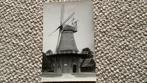 Ansichtkaart Nijeveen Molen De Sterrenberg. 923, Ophalen of Verzenden, 1940 tot 1960, Ongelopen, Drenthe