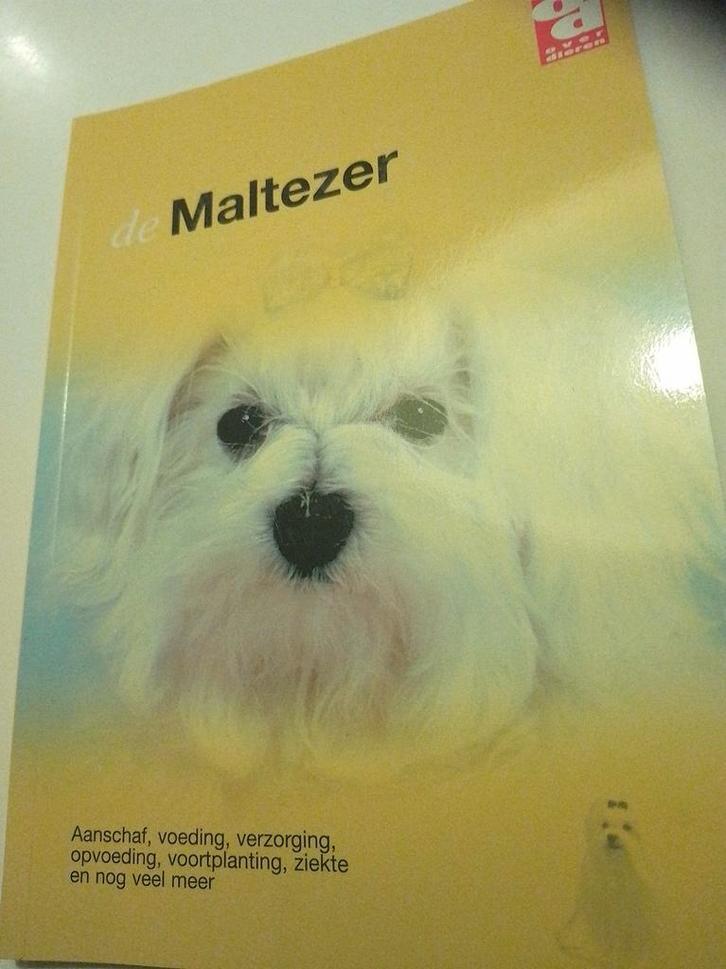 De Maltezer, Boeken, Dieren en Huisdieren, Zo goed als nieuw, Honden, Ophalen of Verzenden