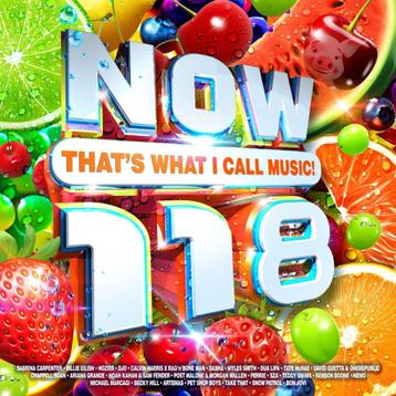 Now That's What I Call Music 118 - 2 CDs beschikbaar voor biedingen