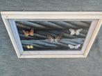 Vintage lijst met vlinders, Ophalen of Verzenden, Gebruikt, Insect, Opgezet dier