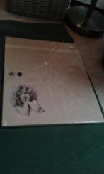 memobord, Huis en Inrichting, Woonaccessoires | Memoborden, Ophalen of Verzenden, Magneetbord