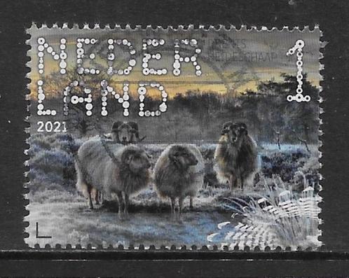 2021, Dwingelderveld, Drents Heideschaap [3899] (K2016), Postzegels en Munten, Postzegels | Nederland, Ophalen of Verzenden
