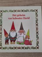 HET GEHEIM VAN KABOUTER DAVID., Boeken, Gelezen, Fictie algemeen, Jongen of Meisje, Ophalen of Verzenden