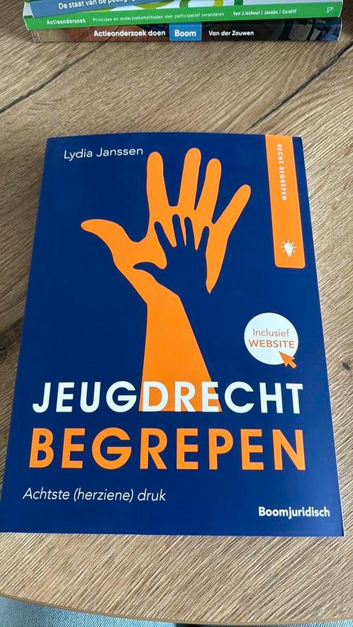 Lydia Janssen - Jeugdrecht begrepen, Boeken, Wetenschap, Zo goed als nieuw, Ophalen of Verzenden