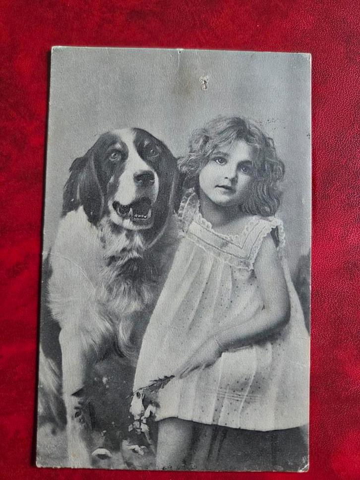 Oude Ansichtkaart Meisje met Sint Bernard Hond Amsterdam, Antiek en Kunst, Kunst | Tekeningen en Foto's, Ophalen of Verzenden