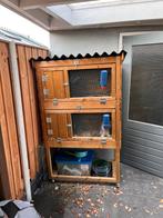 Konijnhok met 2 konijnen, Dieren en Toebehoren, Ophalen, Hok, Konijn, 90 cm of meer