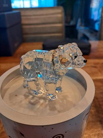 Swarovski Broertje Beer met  aangepaste Doos beschikbaar voor biedingen