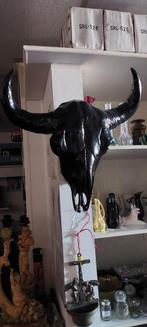 Stierenkop/ schedel decoratie 50/ 60 cm, Ophalen of Verzenden, Gebruikt