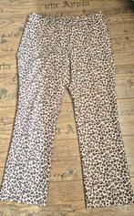 Broek Marc Cain maat 6, Kleding | Dames, Overige kleuren, Maat 42/44 (L), Ophalen of Verzenden, Zo goed als nieuw